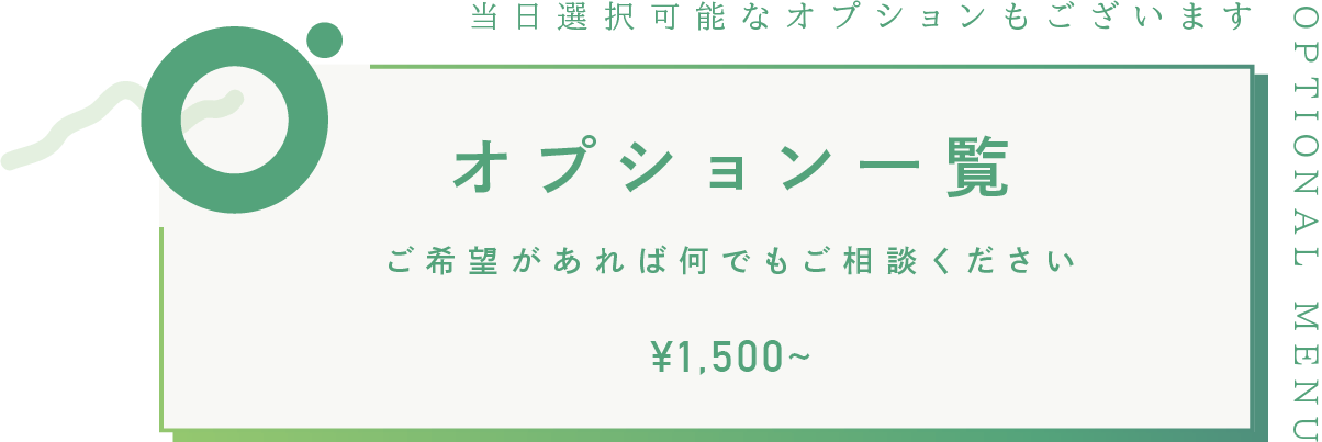 オプション一覧 ¥500~